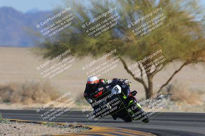 media/Feb-04-2023-SoCal Trackdays (Sat) [[8a776bf2c3]]/Turn 4 (Tree of Life 2pm)/